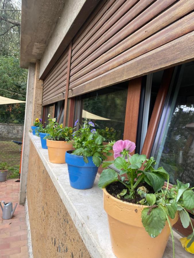 Il Giardinetto Di Elelu' Private Garage Lejlighed Orvieto Eksteriør billede