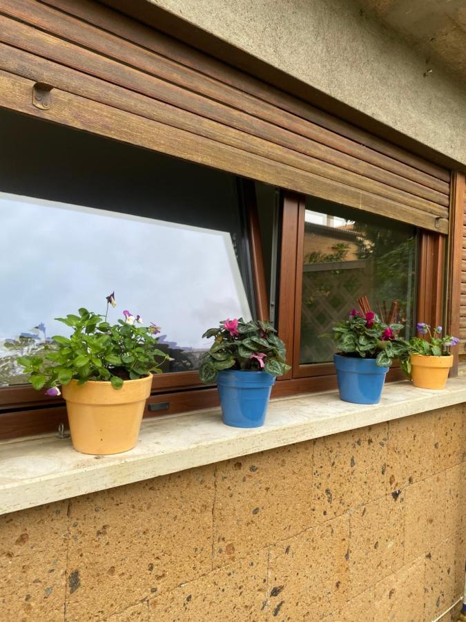 Il Giardinetto Di Elelu' Private Garage Lejlighed Orvieto Eksteriør billede